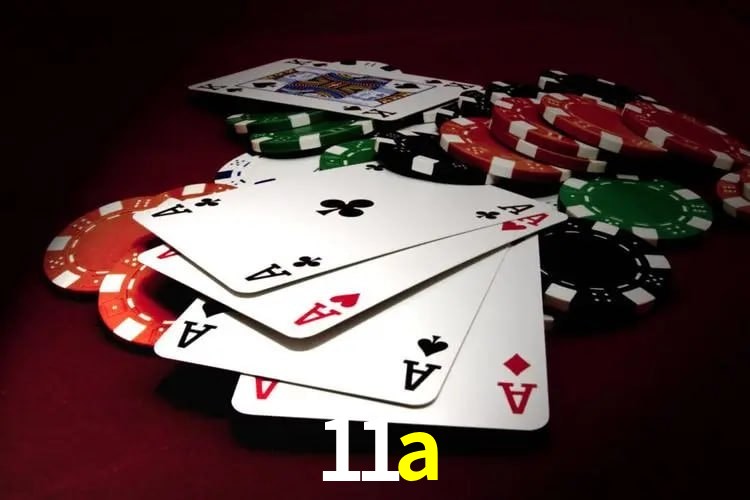 Casino VIP 11a